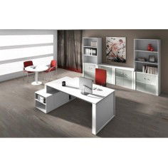 Despacho OMEGA Tipo 1