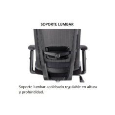 Silla de oficina ergonómica SOFIA de Euromof, cabecero y brazos regulables