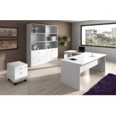 Despacho completo de oficina Tipo G