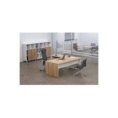 Despacho Completo Style 1 Ala Izquierda