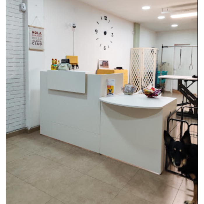 Mostrador recepción MOBI 200 cm, blanco,  sobremostrador y zócalo blanco