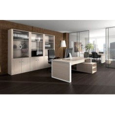 Despacho OMEGA Tipo 1